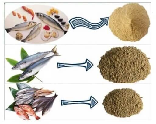 fish-flour-plant
